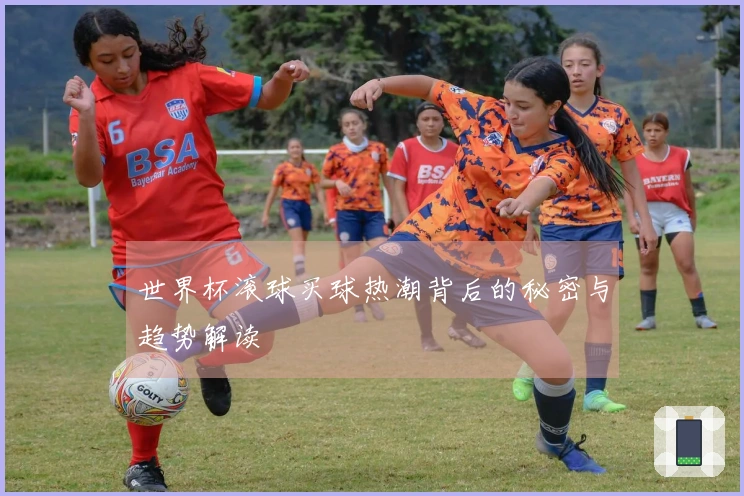 世界杯滚球买球热潮背后的秘密与趋势解读