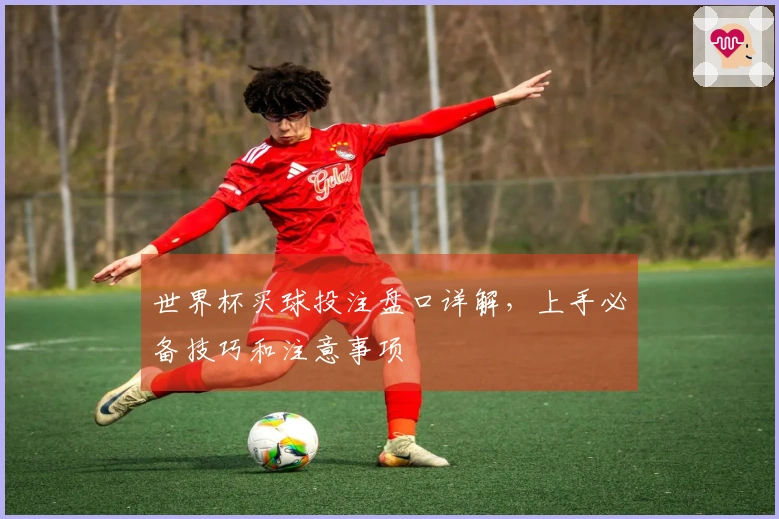 世界杯买球投注盘口详解，上手必备技巧和注意事项