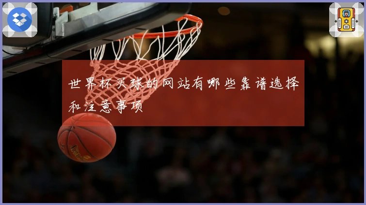 世界杯买球的网站有哪些靠谱选择和注意事项