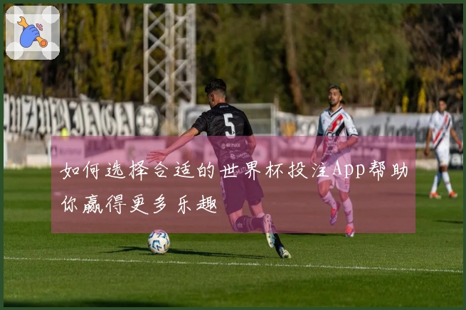 如何选择合适的世界杯投注App帮助你赢得更多乐趣