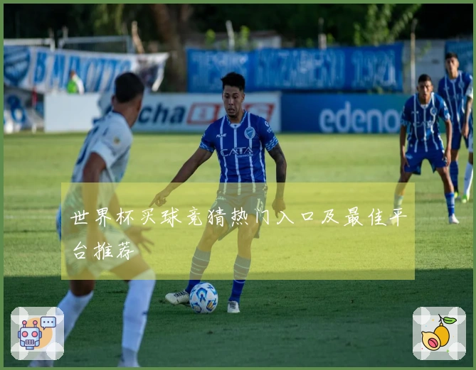 世界杯买球竞猜热门入口及最佳平台推荐