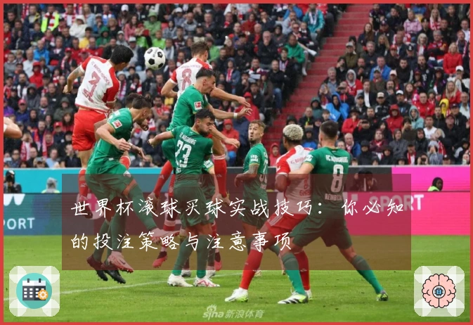 世界杯滚球买球实战技巧：你必知的投注策略与注意事项