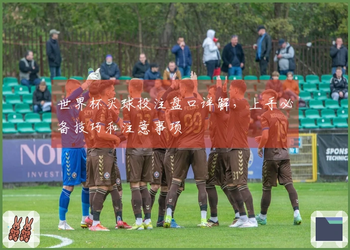 世界杯买球投注盘口详解，上手必备技巧和注意事项