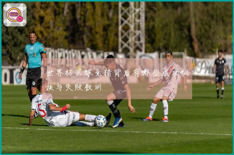 世界杯买球竞猜背后有哪些成功秘诀与失败教训