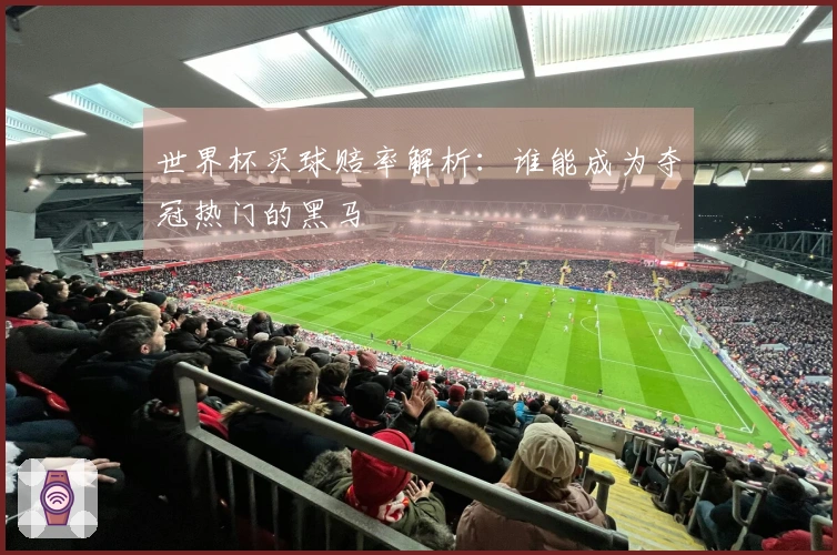 世界杯买球赔率解析：谁能成为夺冠热门的黑马