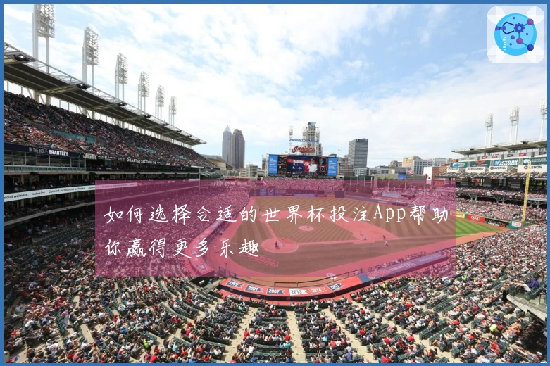 如何选择合适的世界杯投注App帮助你赢得更多乐趣