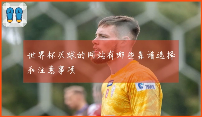 世界杯买球的网站有哪些靠谱选择和注意事项