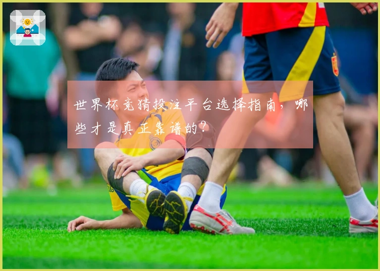 世界杯竞猜投注平台选择指南，哪些才是真正靠谱的？