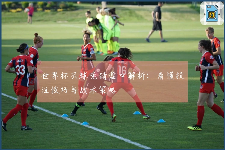 世界杯买球竞猜盘口解析：看懂投注技巧与战术策略