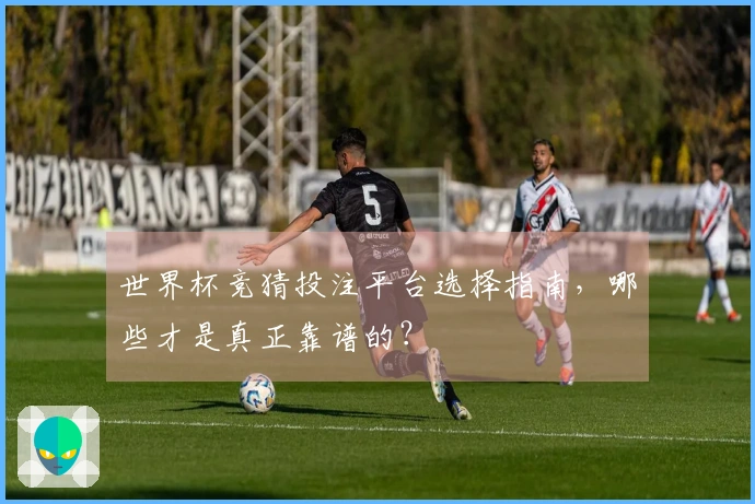 世界杯竞猜投注平台选择指南，哪些才是真正靠谱的？