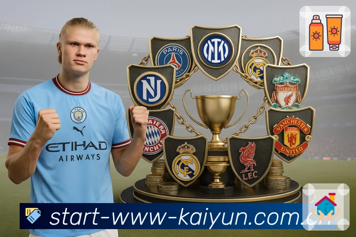 开云平台展示图